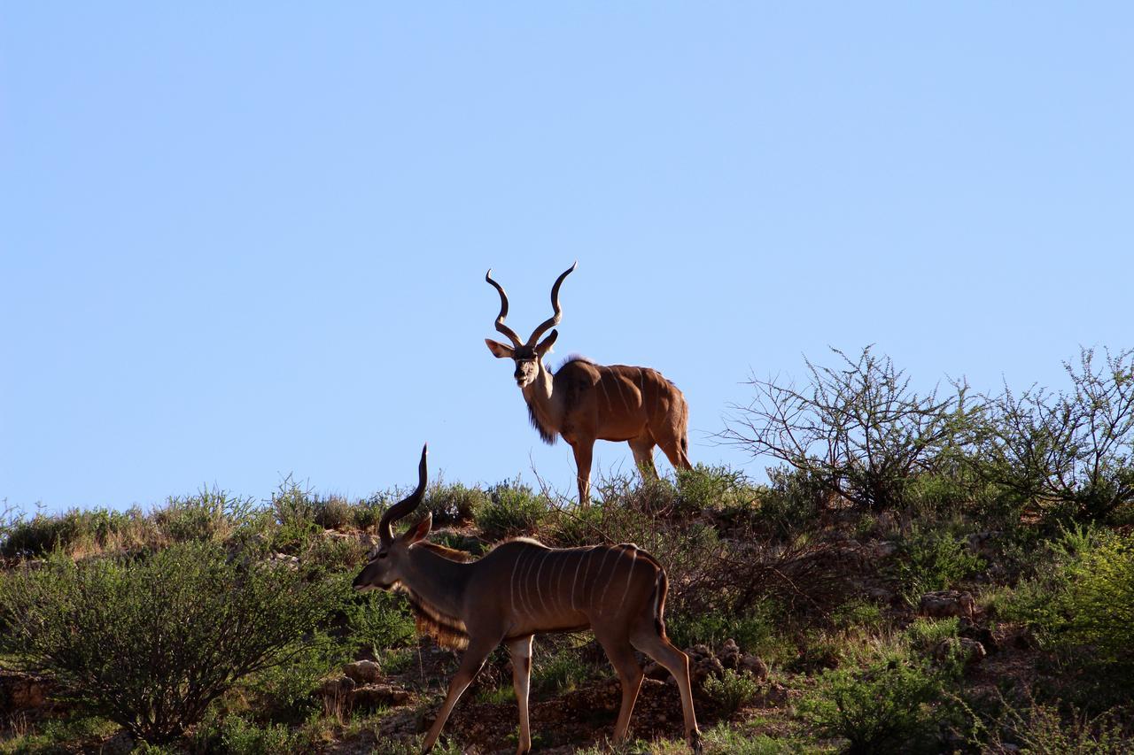 Kgalagadi Lodge Askham Eksteriør bilde