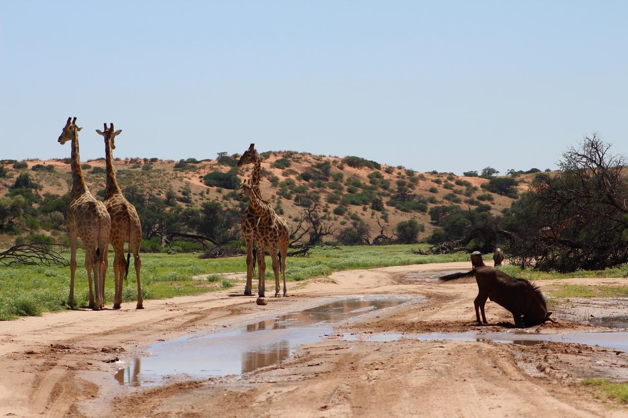 Kgalagadi Lodge Askham Eksteriør bilde