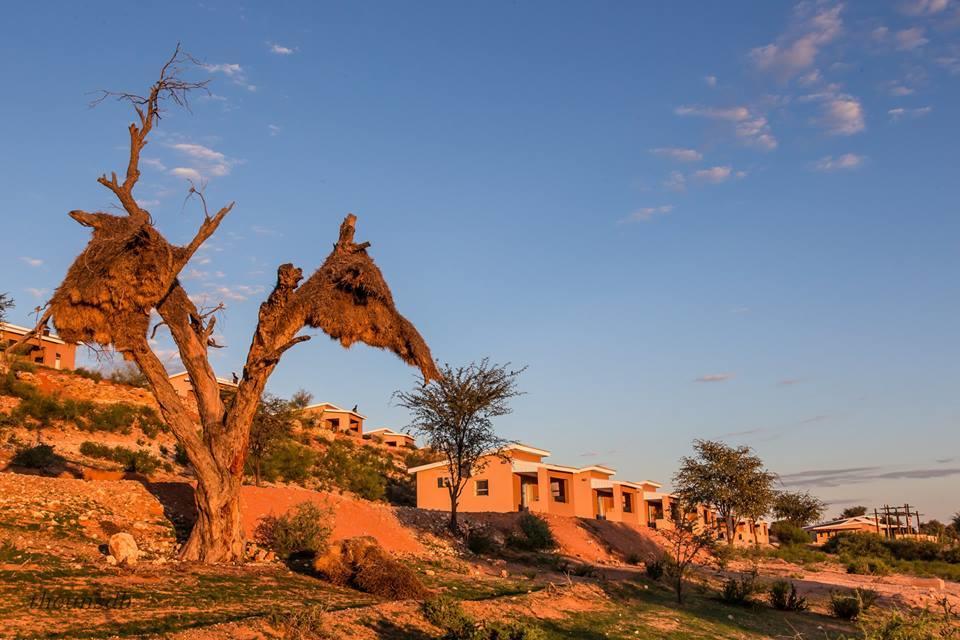 Kgalagadi Lodge Askham Eksteriør bilde